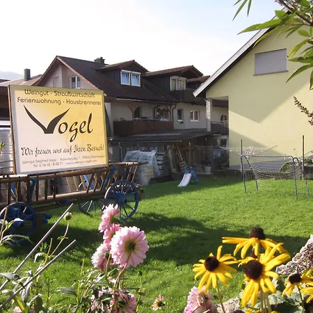 Apartment Weingut & Strausswirtschaft Vogel