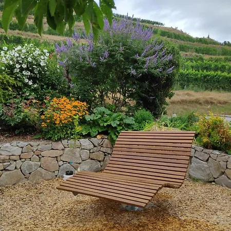 公寓 Weingut & Strausswirtschaft Vogel 福格茨堡