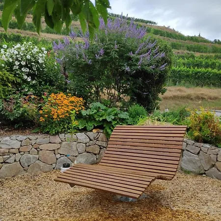 Apartment Weingut&straußwirtschaft Vogel Vogtsburg