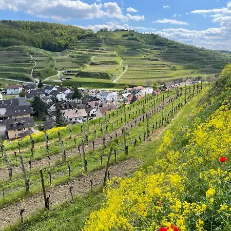 Weingut&straußwirtschaft Vogel Apartment