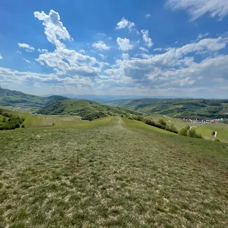 Weingut & Strausswirtschaft Vogel Appartamento