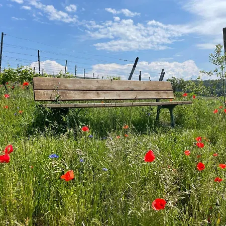 Διαμέρισμα Weingut & Strausswirtschaft Vogel Vogtsburg