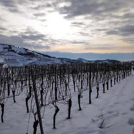 Διαμέρισμα Weingut & Strausswirtschaft Vogel *