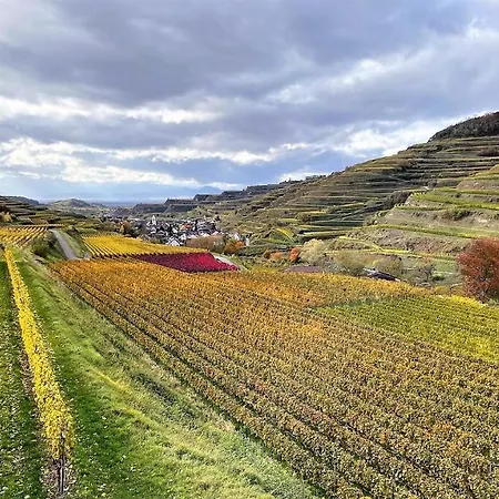 Apartment Weingut & Strausswirtschaft Vogel *