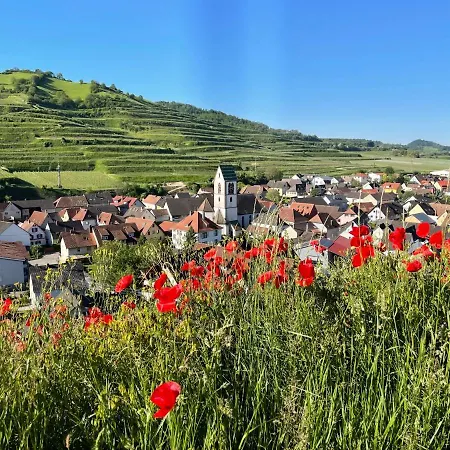 Διαμέρισμα Weingut & Strausswirtschaft Vogel Vogtsburg