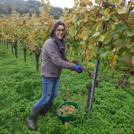 Weingut & Strausswirtschaft Vogel