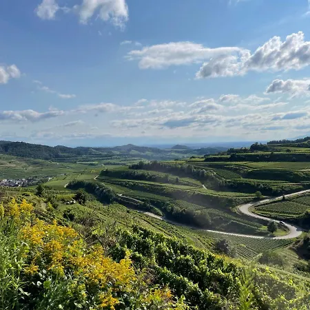 Weingut & Strausswirtschaft Vogel Vogtsburg
