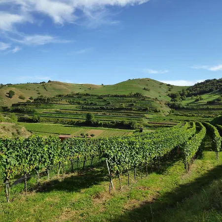 Weingut & Strausswirtschaft Vogel