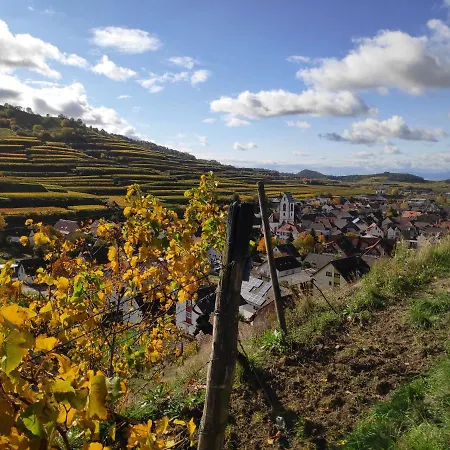 Weingut & Strausswirtschaft Vogel * Vogtsburg