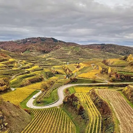 Weingut & Strausswirtschaft Vogel
