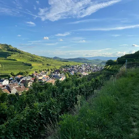 Apartment Weingut & Strausswirtschaft Vogel