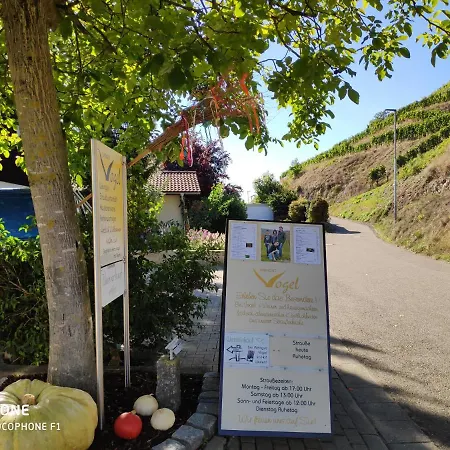 Weingut&straußwirtschaft Vogel Apartment