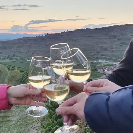 Διαμέρισμα Weingut & Strausswirtschaft Vogel Vogtsburg