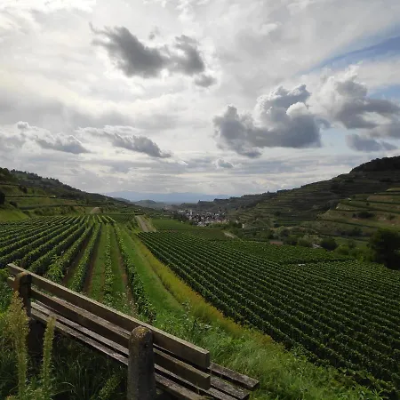 Weingut & Strausswirtschaft Vogel Διαμέρισμα