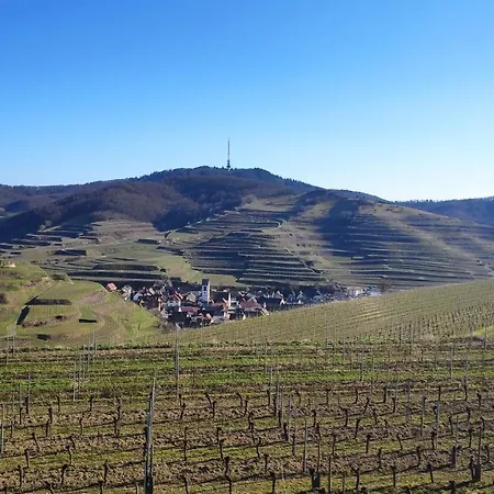 Weingut & Strausswirtschaft Vogel Appartamento *