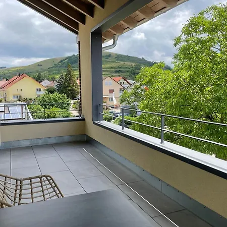 Weingut & Strausswirtschaft Vogel Apartment