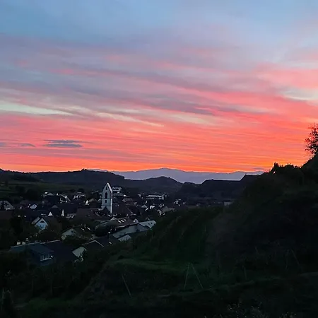 Weingut & Strausswirtschaft Vogel Appartamento