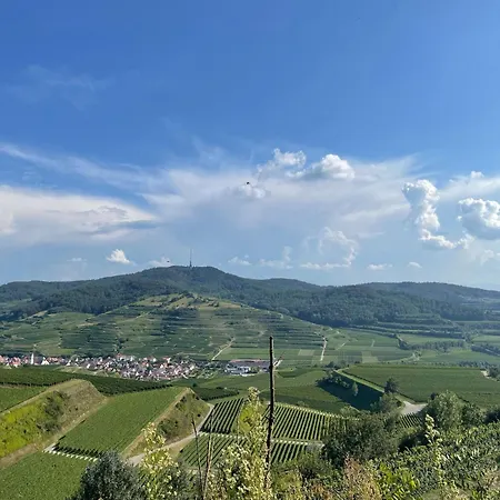 Appartamento Weingut & Strausswirtschaft Vogel