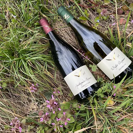 Weingut & Strausswirtschaft Vogel * Vogtsburg