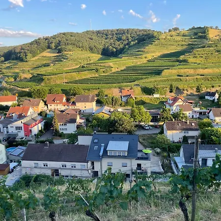 Weingut & Strausswirtschaft Vogel Διαμέρισμα