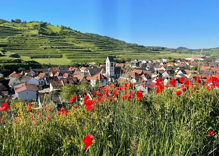Appartamento Weingut & Strausswirtschaft Vogel Vogtsburg