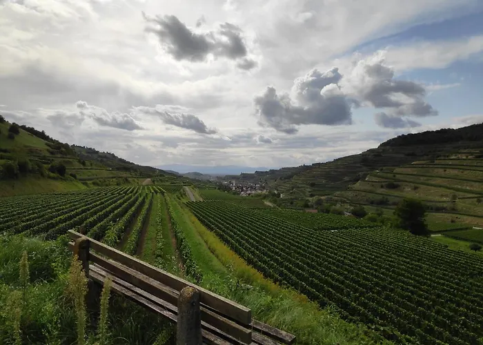 Weingut & Strausswirtschaft Vogel Appartamento